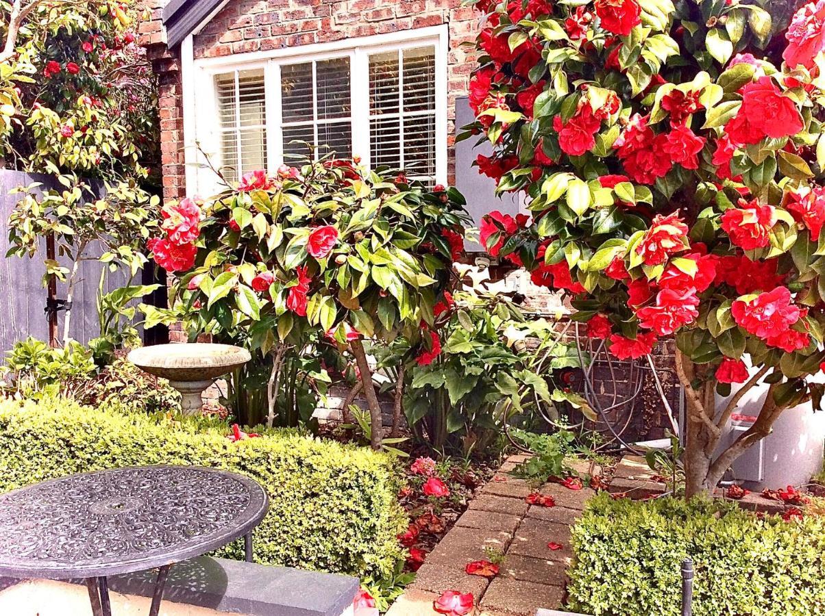 Bed and Breakfast Kurrajong House à Launceston Extérieur photo